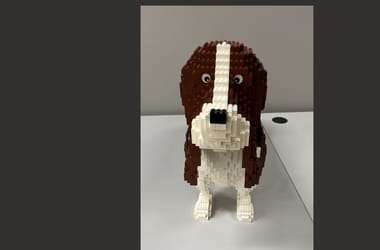 Thumbnail for 7144049