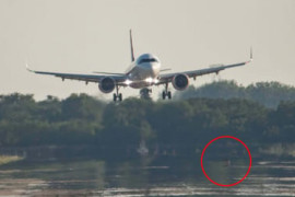 Thumbnail for 7146674