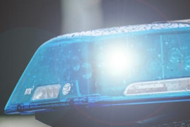 Thumbnail for 7191427