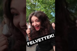 Thumbnail for 7193210