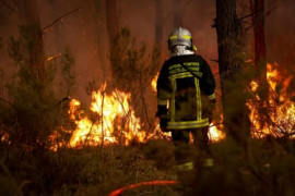 Thumbnail for 7203573