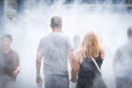Thumbnail for 7205676