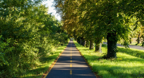 Thumbnail for 7218009