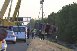 Thumbnail for 7229224