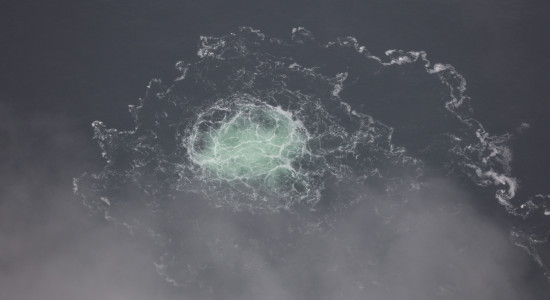Thumbnail for 7232043