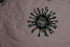 Thumbnail for 7240277