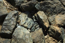 Thumbnail for 7283275