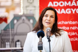 Thumbnail for 7303079