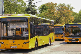 Thumbnail for 7313266